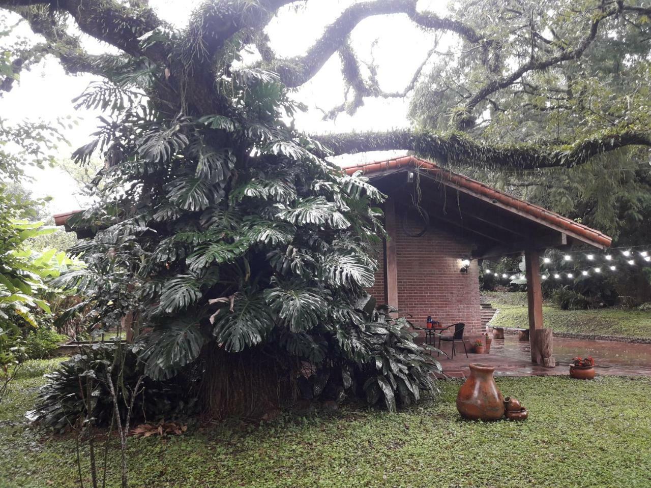 Terrazas Del Coya Hostel San Salvador de Jujuy Bagian luar foto