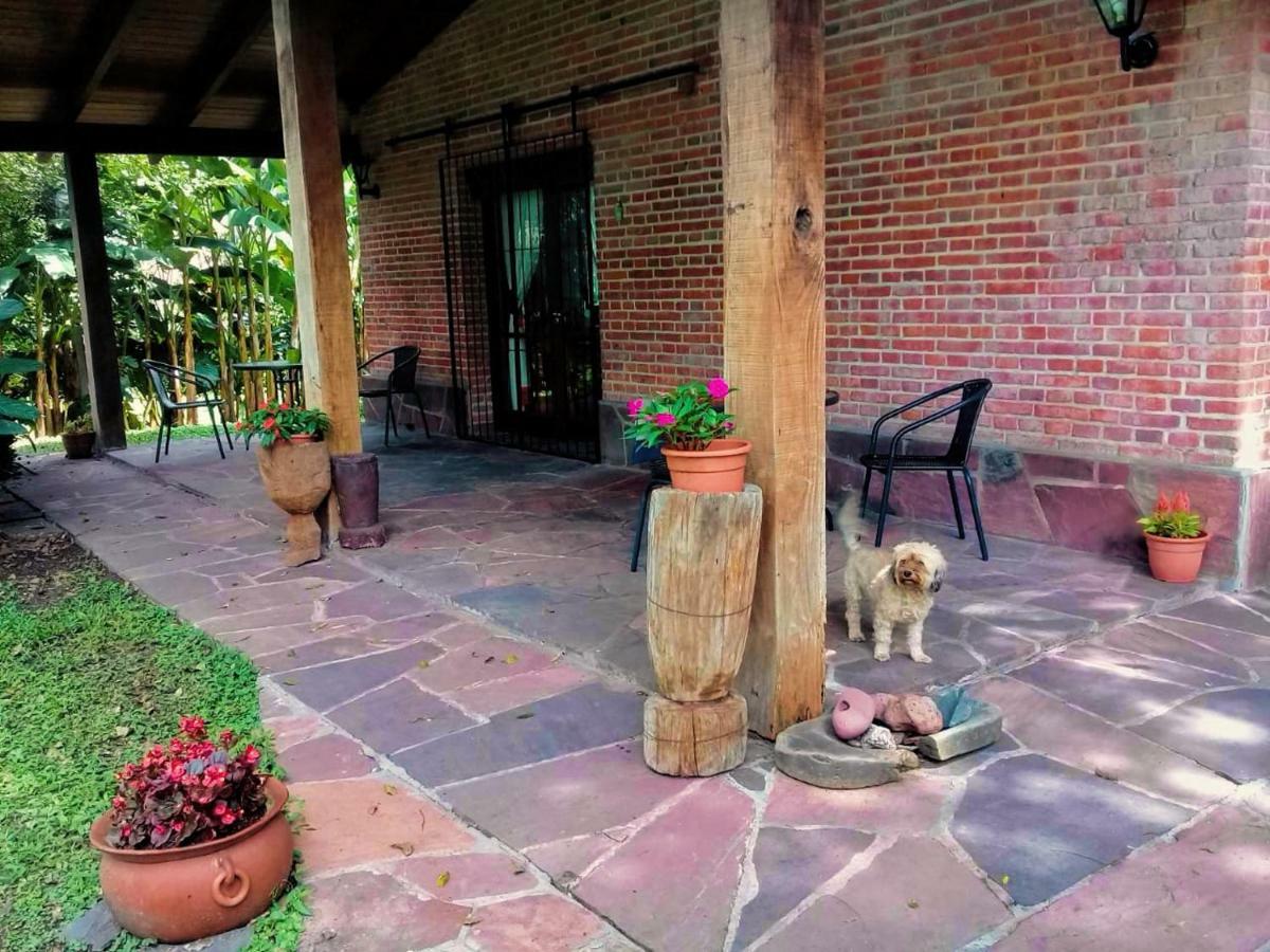 Terrazas Del Coya Hostel San Salvador de Jujuy Bagian luar foto